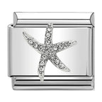 Fish Charm Silver