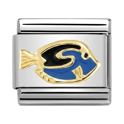 Blue Tang