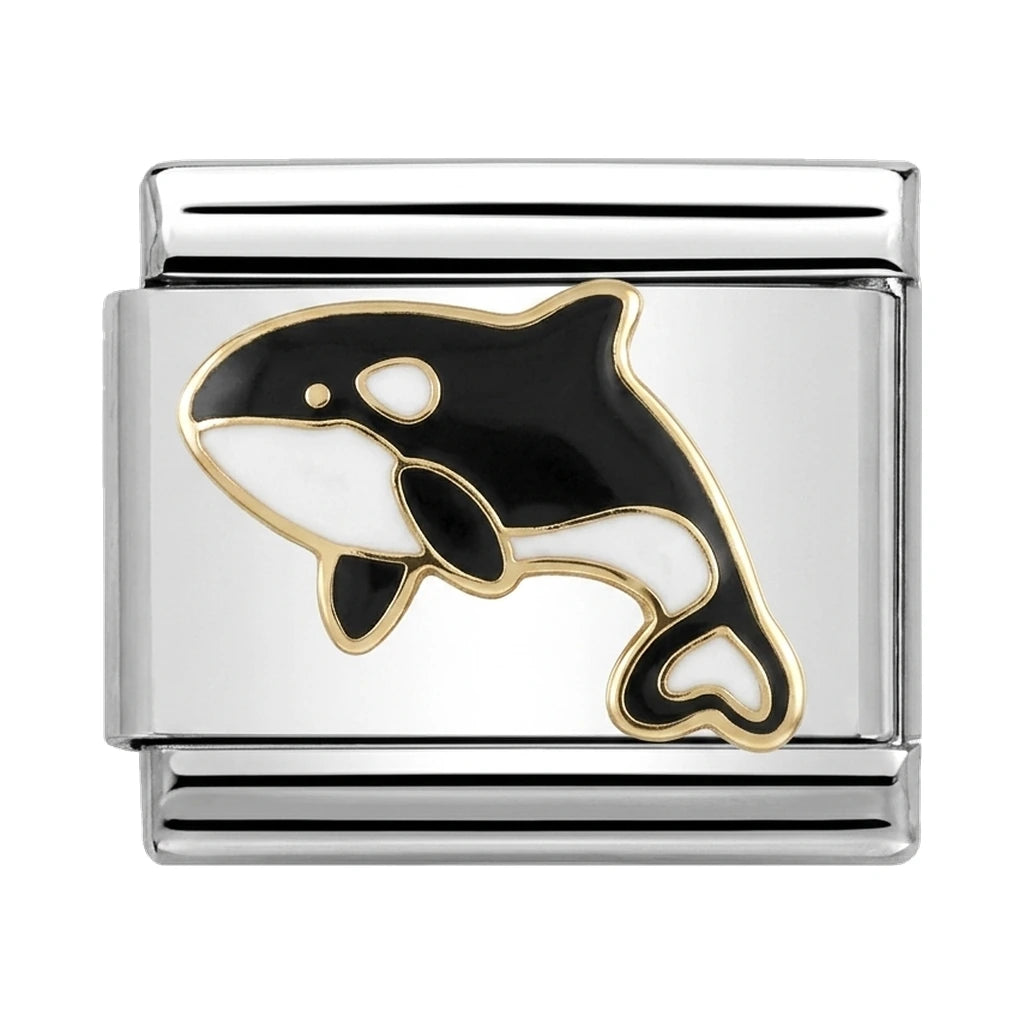Little Orca