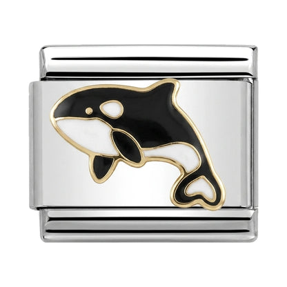 Little Orca