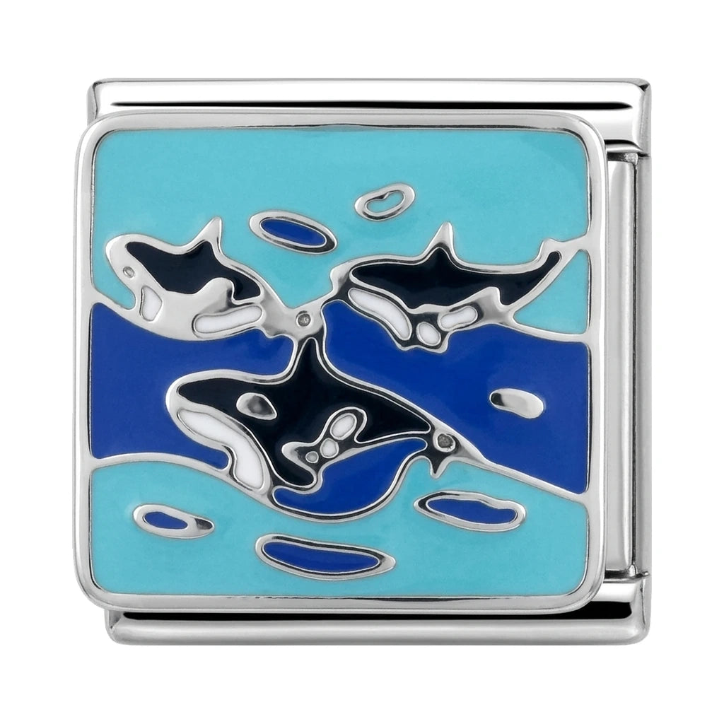 Orca Seas