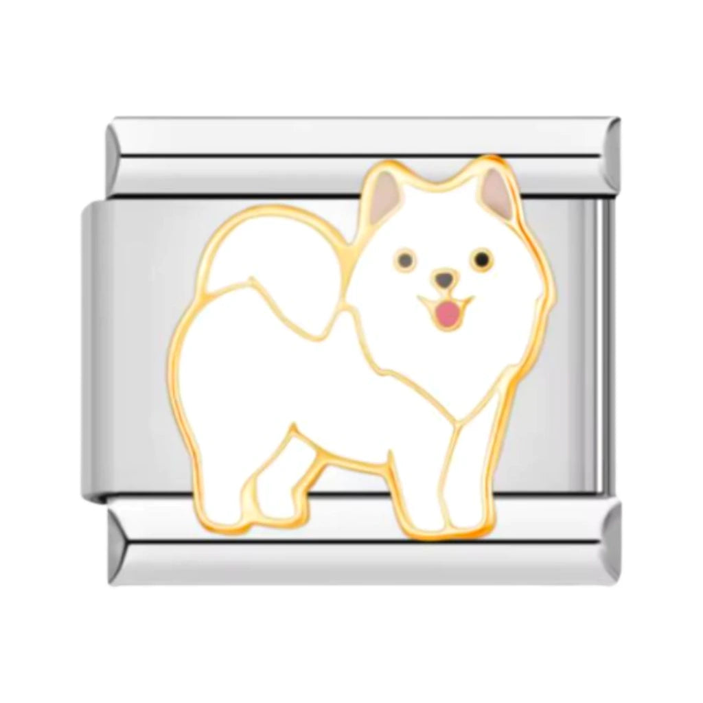 Pomeranian Charm