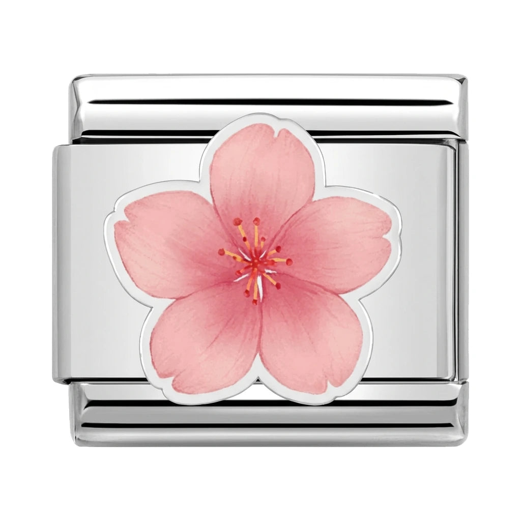 Sakura Bloom